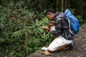 Contrôle et évaluation de la gestion forestière