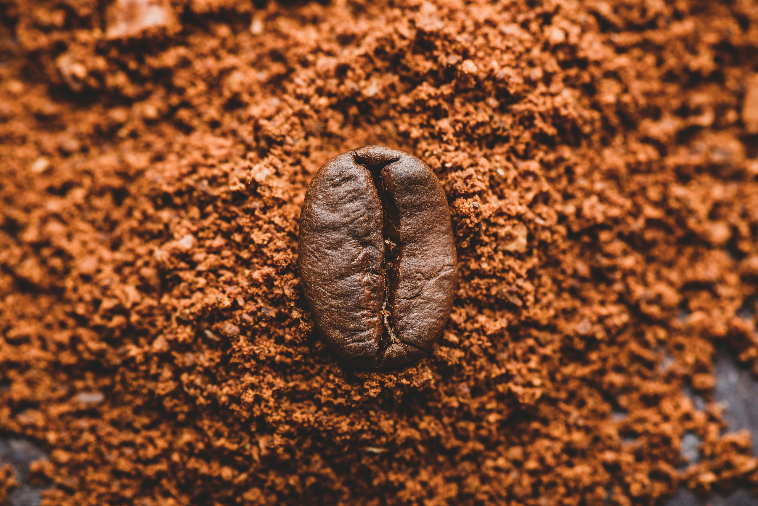 Image montrant une fève de cacao sur un tas de masse de cacao.